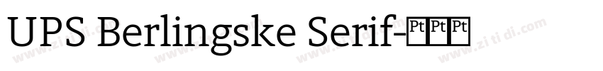 UPS Berlingske Serif字体转换